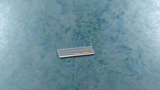 MIOC Intensity Modulator Chip, 단계 조절 칩