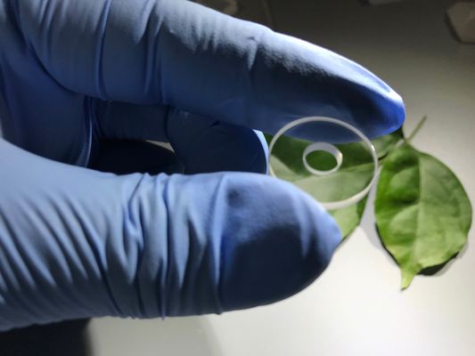 좋은 가격 구멍 포용력 ±0.03mm를 가진 틈막이를 품는 내식성 사파이어 성분 온라인으로