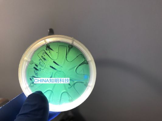 좋은 가격 2 인치 6H-N 실리콘 탄화물 웨이퍼 유형 MPD 50cm 330um SiC 수정같은 웨이퍼 주괴 온라인으로