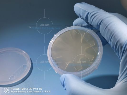 좋은 가격 가짜 조사 2 인치 6H-세미 탄화 규소 웨이퍼 온라인으로