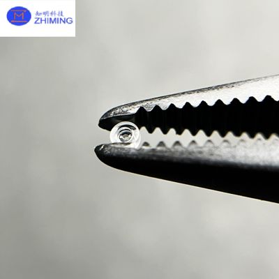 좋은 가격 헐리우드를 통해 사피어 온라인으로