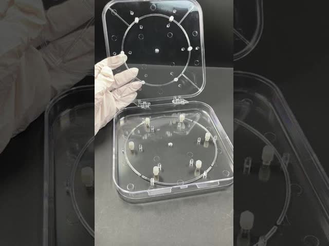 Adjustable Wafer Box – Transparent PC Wafer Carrier for Semiconductor Protection